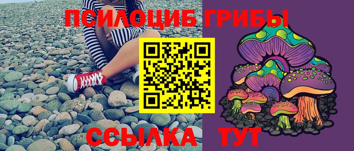 наркошоп  Вход с VPN  Рославль  Псилоцибиновые грибы прущие грибы 