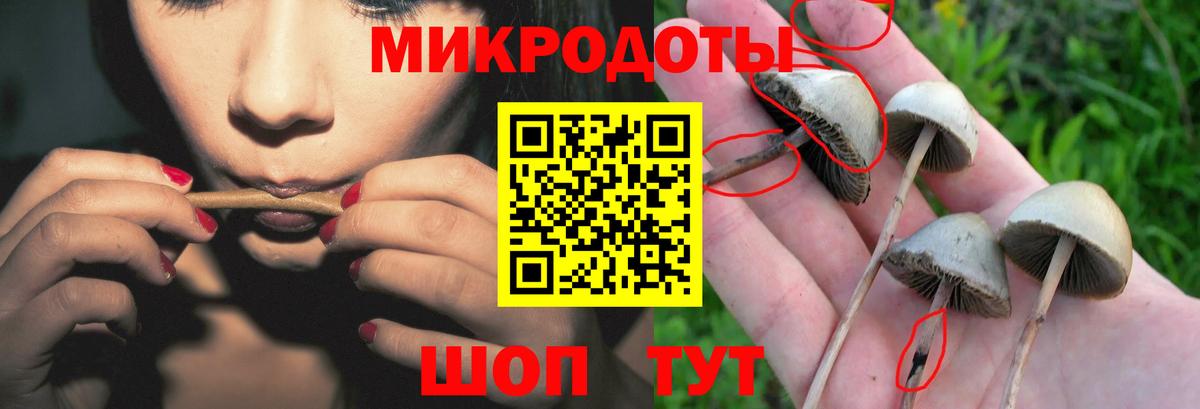 Псилоцибиновые грибы Magic Shrooms Рославль